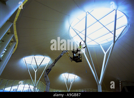 Vodafone rigger at work in The Pavilion, a large capacity event space, at Vodafone's  UK HQ in Newbury, Berkshire, England. Stock Photo