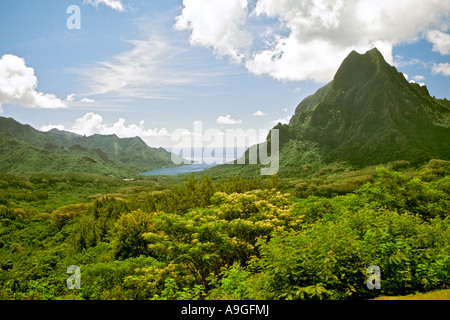 View of Opunohu Bay and Mount Rotui on the island of Moorea near Tahiti in the Society Islands group of French Polynesia. Stock Photo