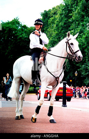 mounted Bobby on white horse