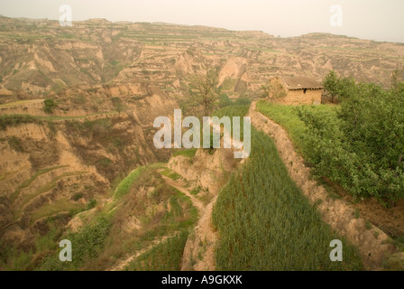 Eroded landscape of loess plateau with farm terraces near Yellow River (Huanghe) in Shanxi province Stock Photo