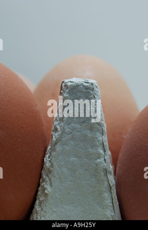 eggs in the box Stock Photo
