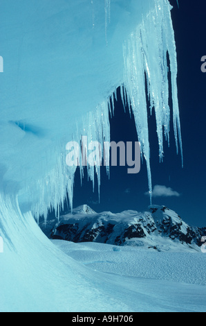 Antarctic Icicles Stock Photo