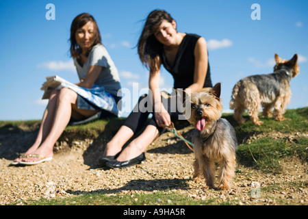 Two women sitting in the park with their dogs Stock Photo