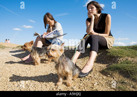 Two women sitting in a park with a pair of Yorkshire Terriers on leads Stock Photo