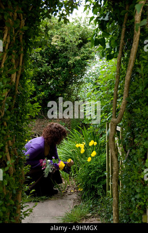 Woman picking yellow poppies through a garden arch Stock Photo