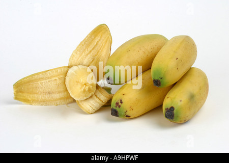 Chinese banana (Musa cavendishii), banana Stock Photo