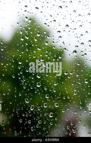 Raindrops on the window pane Stock Photo