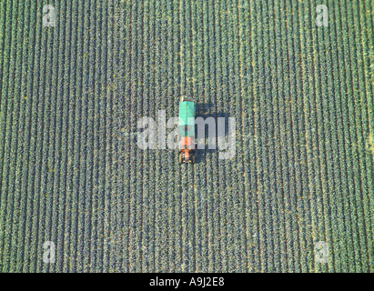 Aerial view of a red tractor with a green trailer harvesting vegetables in a field Stock Photo