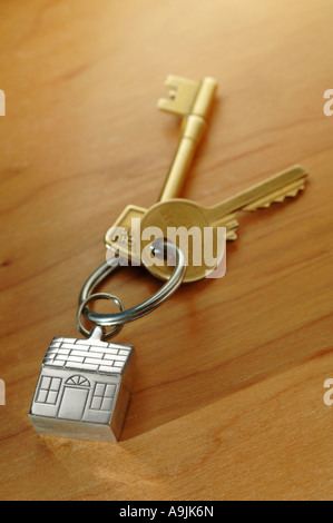 House keys on key shaped keyring Stock Photo