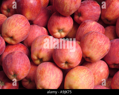 Apple fruits Stock Photo