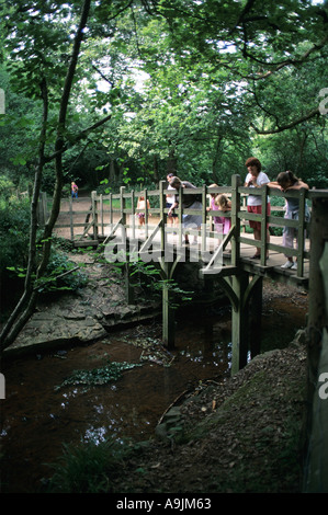 bridge pooh alamy ashdown forest sussex england probably stream where site