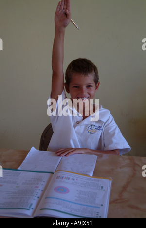 Eager, smiling caucasian schoolboy sitting at desk raising hand in ...