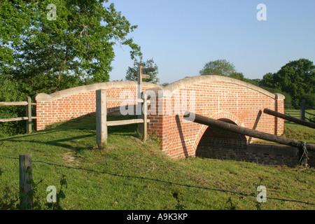 Wey and Arun Canal May 2007 Stock Photo