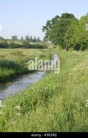 Wey and Arun Canal May 2007 Stock Photo