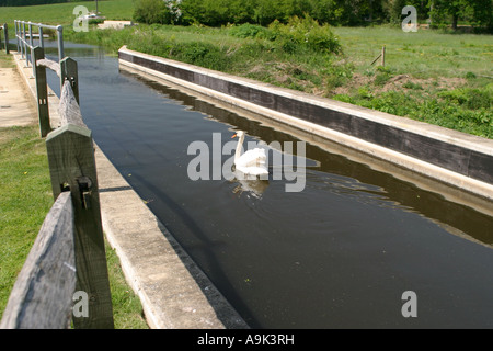 Wey and Arun Canal UK May 2007 Stock Photo