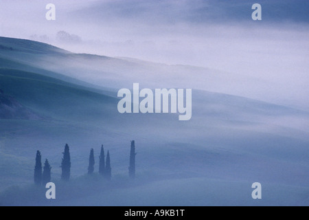 early mornign mist over the Tuscany, Italy, Val d Orcia