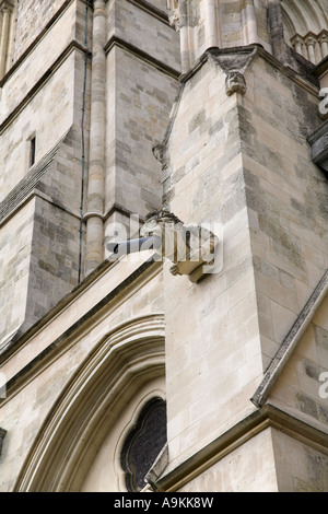 Modern restored replacement gargoyle modelled on a lawyer barrister or judge Chichester Cathedral Sussex Stock Photo