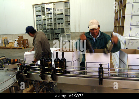 Tamaya Winery wine bottle packing Limari Valley Chile Stock Photo