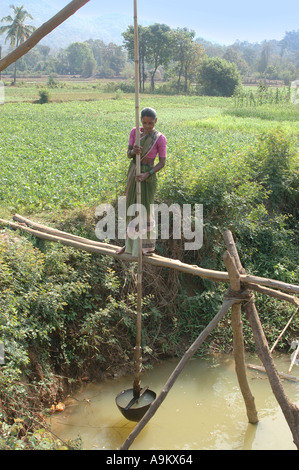 Water lift irrigation manually woman working, Konkan, Maharashtra ...