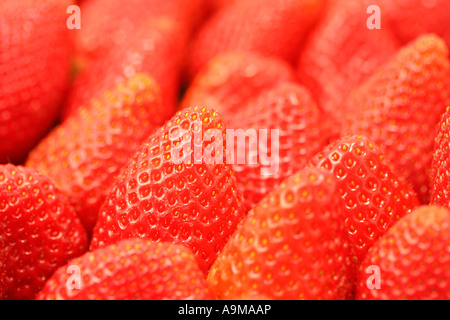 Strawberries Stock Photo