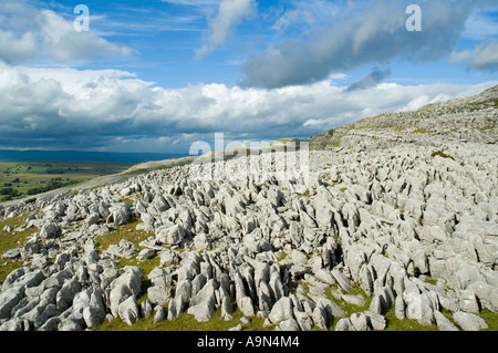 Ravenstonedale, from Stennerskeugh Clouds limestone pavement, near Kirkby Stephen, Cumbria, England, UK Stock Photo