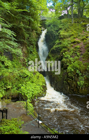 Aira Force waterfall, near Ullswater, Lake District, Cumbria, England, UK Stock Photo