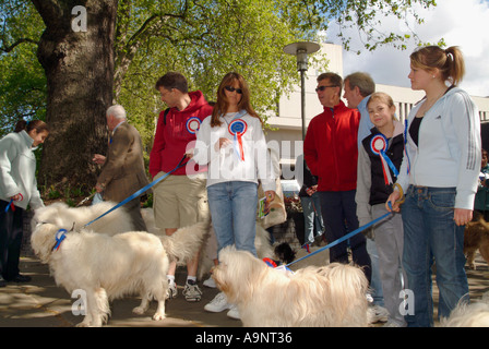 DOG OWNERS IN A CHARITY ORGANIZED WALK REGENTS PARK LONDON MAY 2005 Stock Photo