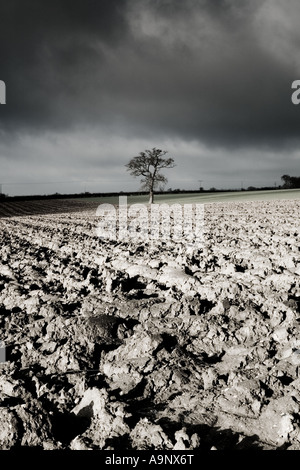 black and white tinted photograph of landscape of ploughed fields and a dramatic cloudy winter sky Stock Photo