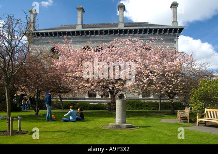 Springtime in the grounds of Trinity College Dublin and the cherry ...
