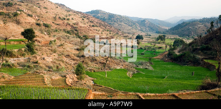 Mountain valley planted with rice paddies in Southern India Stock Photo