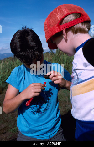 Two Young Boys hooking bait for fishing in 'Trout Lake' at John Hendry Park, Vancouver, BC, British Columbia, Canada Stock Photo