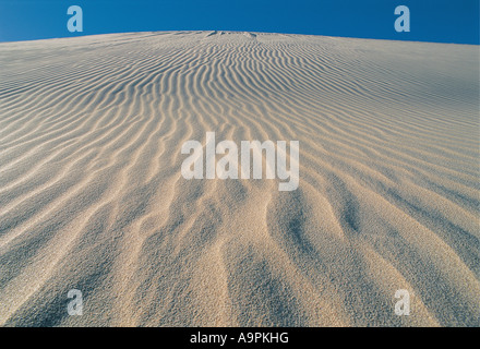 Ripples and wind patterns of sand dune De Hoop Nature Reserve Western Cape South Africa Stock Photo