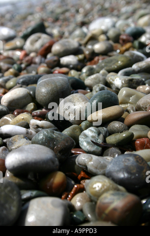 Pebbles on a beach 1 Stock Photo