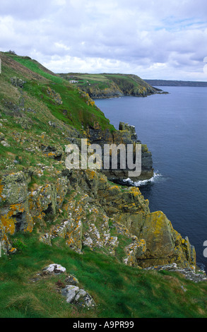 Coastal cliff East of Lizard Point in Cornwall county England UK Stock Photo
