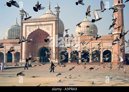 Pigeons, Jama Masjid Mosque (1656), New Delhi, India Stock Photo