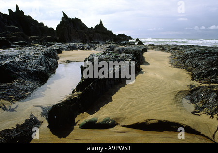 Surreal abstract rocks near Duckpool in Cornwall county England UK Stock Photo