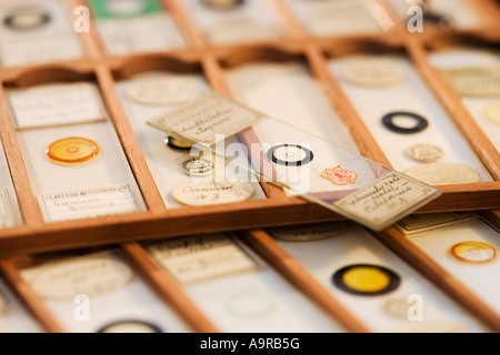 Close up of old fashioned microscope slides Stock Photo