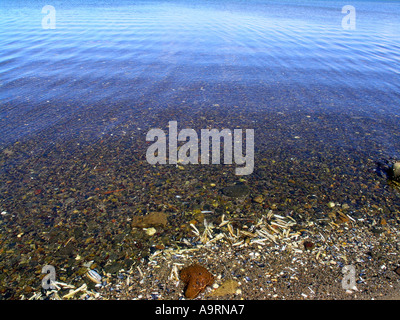 The sea bed seen through the calm water Stock Photo