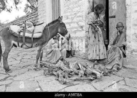 B/W of a woman delivering firewood with her donkey to a household in Mekelle, Tigray, Ethiopia Stock Photo