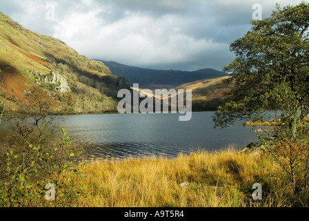The Gwynant Valley in the Snowdonia National Park, Gwynedd in North Wales. Stock Photo