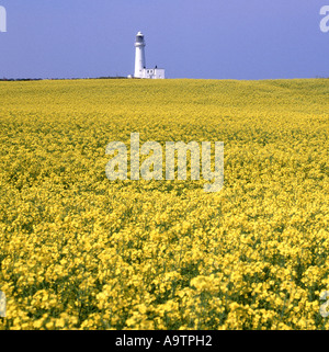 Cliff top agriculture landscape farm field rapeseed crop Flamborough Head North Sea active historical lighthouse 1806 East Riding of Yorkshire England Stock Photo