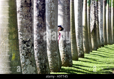 Sri Lankan palm trees in Royal Botanical Gardens Peradeniya near Kandy with admiring visitor Stock Photo