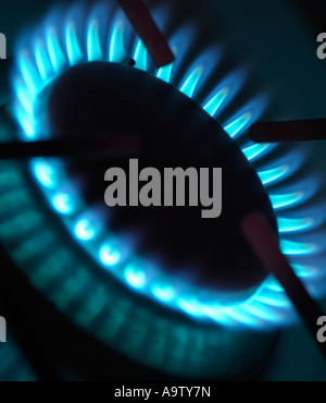 Gas Flame on a Cooker Stock Photo