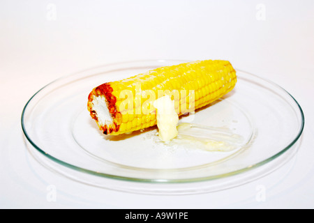 An Ear of Corn on the Cob cooked and drizzled with melting butter Stock Photo