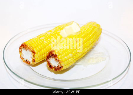 An Ear of Corn on the Cob cooked and drizzled with melting butter Stock Photo
