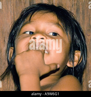 Portrait of an Indian girl from the Dessanos tribe Rio Taruma Amazon state Brazil Stock Photo