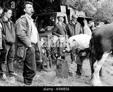Traveller children watch a mobile farrier shoe a horse at Appleby Fair, Cumbria. Stock Photo