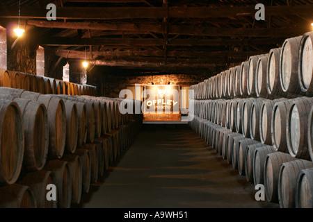 Barrels of port wine maturing in the Offley cellars in Porto Portugal Stock Photo