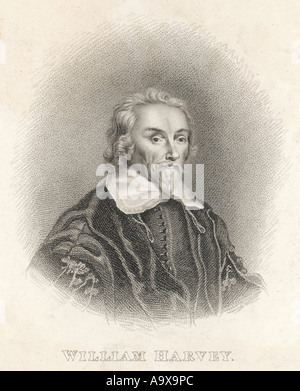 William Harvey Thomson Stock Photo