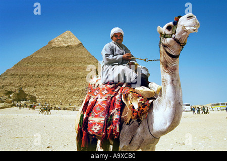 Camel owner in front of the Kephren pyramid in Giza Cairo trying to pursuaid tourists to ride his camel Stock Photo